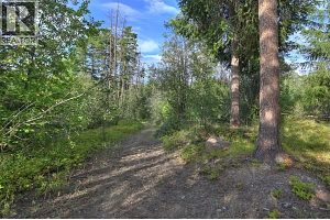 3525 McKellar Road - Photo 8