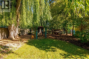 12313 Kalavista Drive - Photo 2