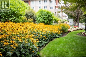 1099 Sunset Drive Unit# 441 - Photo 39