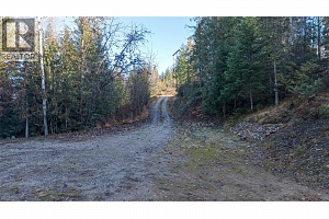 660 Capri Road - Photo 60