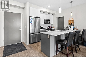 2250 Majoros Road Unit# 303 - Photo 12