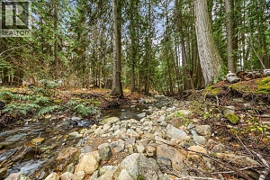 5949 Star Road - Photo 16