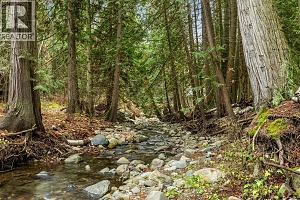 5949 Star Road - Photo 17