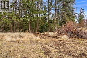 5949 Star Road - Photo 18