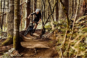 9746 Centrestone Crescent - Photo 72