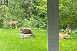 3319 Grouse Road - Photo 78