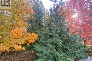 3319 Grouse Road - Photo 82