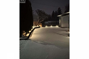 3319 Grouse Road - Photo 86