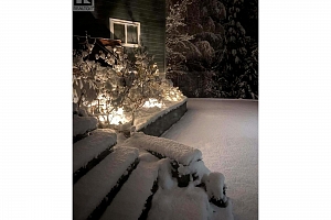 3319 Grouse Road - Photo 88