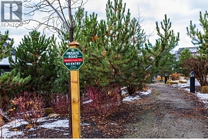 12875 Lake Hill Lane - Photo 27