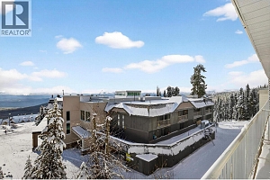 7375 Porcupine Road Unit# 104 - Photo 21