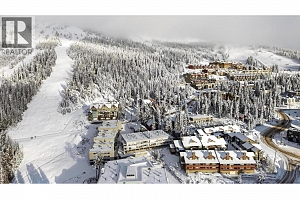 7375 Porcupine Road Unit# 104 - Photo 31