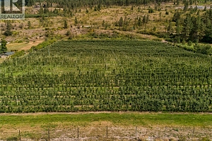 North Lot - 15490 Carrs Landing Road - Photo 10