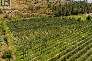 North Lot - 15490 Carrs Landing Road - Photo 11