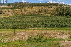 North Lot - 15490 Carrs Landing Road - Photo 9