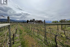 3380 Neid Road - Photo 5