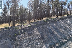 20 Beacon Hill Drive - Photo 2