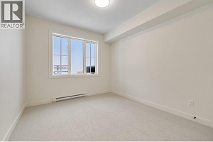 255 Feathertop Way Unit# 89 - Photo 47