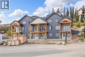 255 Feathertop Way Unit# 88 - Photo 14