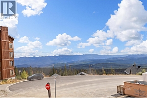 255 Feathertop Way Unit# 88 - Photo 26