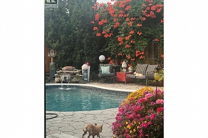 848 LIBAN Court - Photo 17