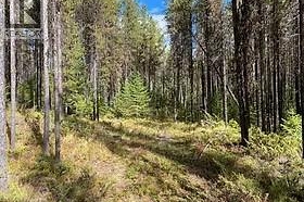 8930 33 Highway Unit# Lot 10 - Photo 4