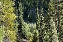 8930 33 Highway Unit# Lot 10 - Photo 5