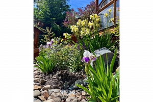 563 Mountain Drive - Photo 24