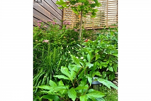 563 Mountain Drive - Photo 57