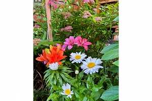 563 Mountain Drive - Photo 61