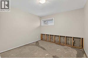 3109 Appaloosa Road - Photo 39