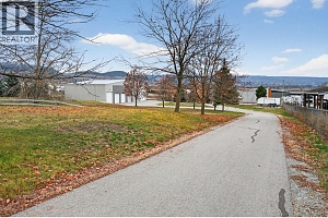 3109 Appaloosa Road - Photo 53