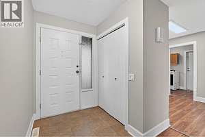 3109 Appaloosa Road - Photo 9