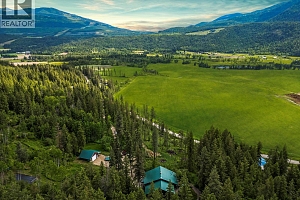 1099 Enderby Mabel Lake Road - Photo 2