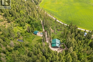 1099 Enderby Mabel Lake Road - Photo 90