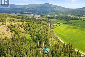 1099 Enderby Mabel Lake Road - Photo 91