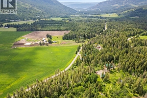 1099 Enderby Mabel Lake Road - Photo 92