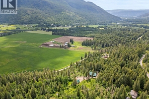 1099 Enderby Mabel Lake Road - Photo 93