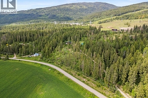 1099 Enderby Mabel Lake Road - Photo 95