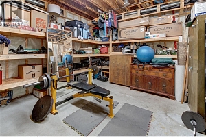 2387 Tallus Ridge Drive - Photo 46