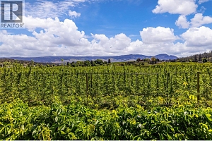 2430 Longhill Road - Photo 64