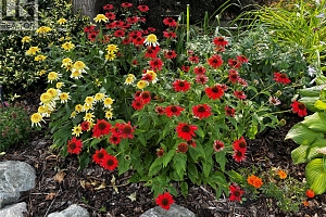 2430 Longhill Road - Photo 80