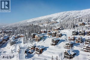 455 Feathertop Way - Photo 10