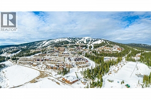 455 Feathertop Way - Photo 11