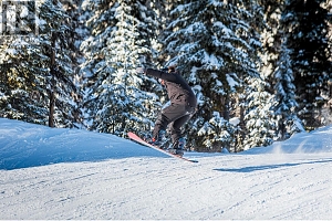 455 Feathertop Way - Photo 12