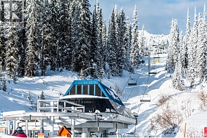 455 Feathertop Way - Photo 13