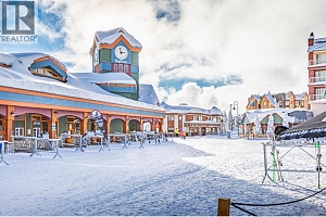 455 Feathertop Way - Photo 15