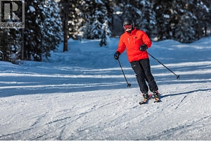 455 Feathertop Way - Photo 16