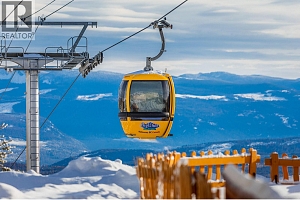 455 Feathertop Way - Photo 17