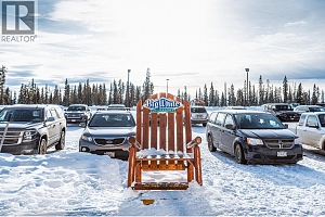 455 Feathertop Way - Photo 19